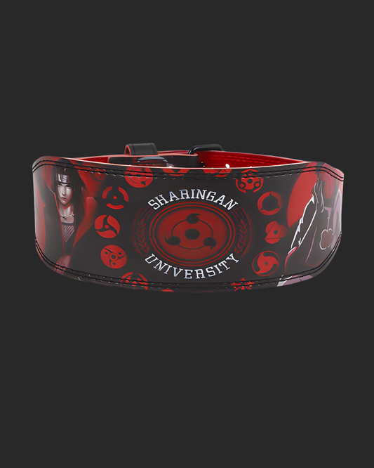 " ITACHI " IN FITNESS BELT