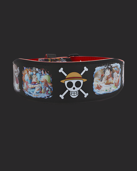 " ONE PIECE " IN FITNESS BELT